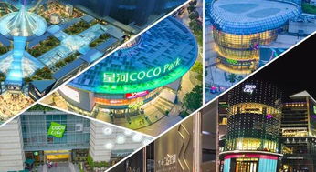 集團(tuán)商業(yè)綜合體管理服務(wù)升級(jí)，以精細(xì)化運(yùn)營(yíng)引領(lǐng)城市商業(yè)新生態(tài)